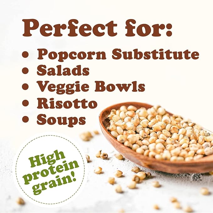 Food to Live Italian White Whole Grain Sorghum, 1.5 Pounds – Premium White Groats. Raw Milo Seeds. Vegan, Bulk Broom-corn. Durra is Great for Making Flour and Popped Jowar Dhani