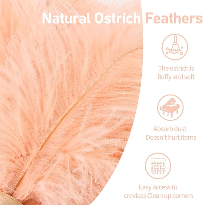 Ostrich Feather Duster 12 Inch Handheld Duster Supplies, Wooden Handle Feather Duster for Cleaning Keyboard Home Car Office (Champagne 2Pcs)