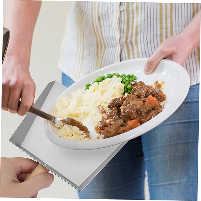 Healifty Stainless Steel Dustpan 8.66 Inch Mini Metal Dust Pan Compact Lightweight Tabletop Dust Pan for Kitchen and Home Cleaning