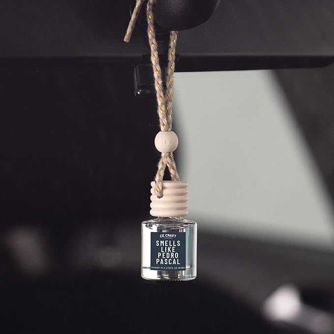 CANDECraftCo Car Air Hanging Fragrance Oil, Car Auto Freshener for Essential Oils, Scents Fragrance Aromatherapy Automobile Diffuser, Long Lasting (Smells Like Pedro Pascal)