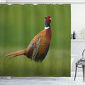 Ambesonne Green Shower Curtain, Czech Republic European Scene of a Creature on Blurry Backdrop Photo, Cloth Fabric Bathroom Decor Set with Hooks, 69" W x 75" L, Ginger Chocolate and Red
