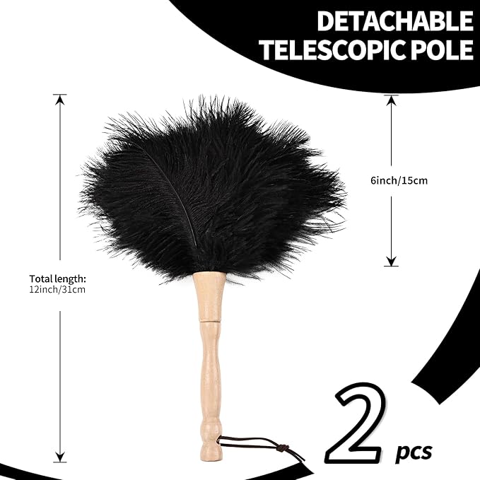 Ostrich Feather Duster 12 Inch Handheld Duster Supplies, Wooden Handle Feather Duster for Cleaning Keyboard Home Car Office (Black 2Pcs)