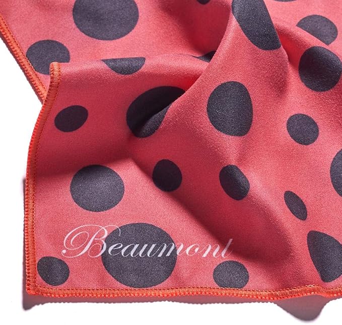 Beaumont Ladybird Musical Polishing & Cleaning Patterned Instruments Trumpet Clarinet Sax Flute Recycled Microfibre Cleaning Cloth Brass Silver 25 x 25 cm (BFC-LB)