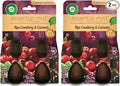 Air Wick Essential Mist – Twin Refill Ripe Cranberry & Currants,2 Refills,(Pack of 2)