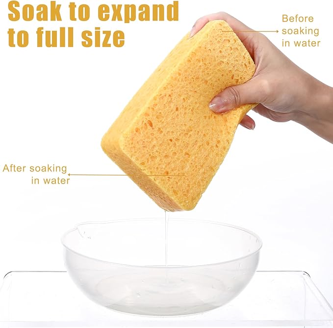 2Pcs Large Natural Sponges Household Cleaning Sponges Non-Scratch Cleaning for Kitchen Bathroom Countertops Car Wash 5.91 × 3.94 × 1.97 inches