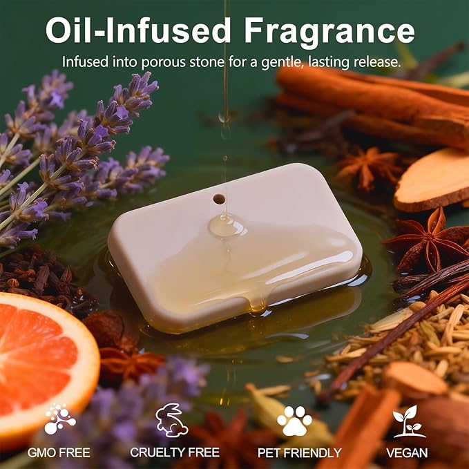 Car Air Freshener, 2-in-1 Stone Car Freshener with Visor Clip & Hanging Scent Diffuser, Natural Scent Stone Diffuser, Long-Lasting Odor Eliminator for Car or Home, Smooth Pine