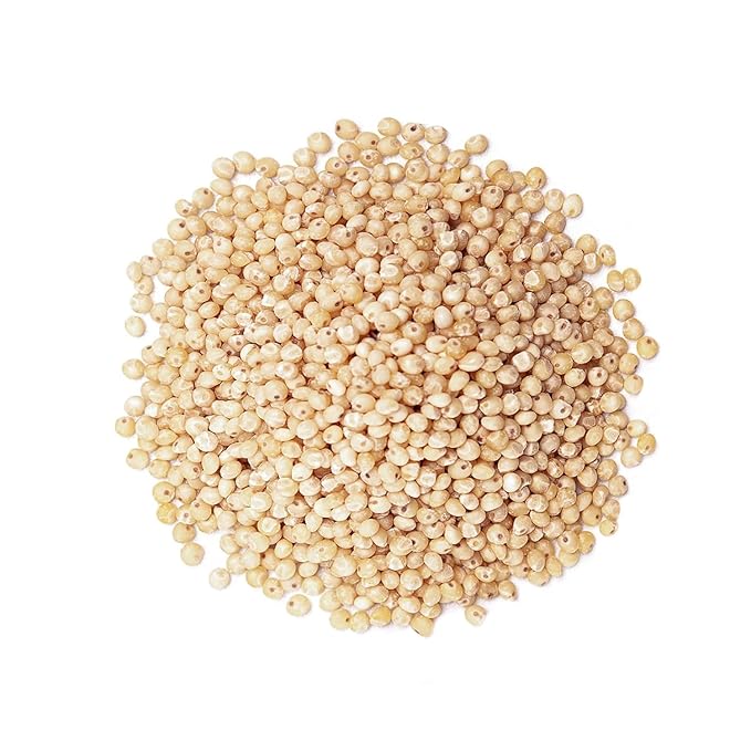 Food to Live Organic Italian White Whole Grain Sorghum, 25 Pounds – Non-GMO White Groats. Raw Milo Seeds. Vegan, Bulk Broom-corn. Durra is Great for Making Flour and Popped Jowar Dhani