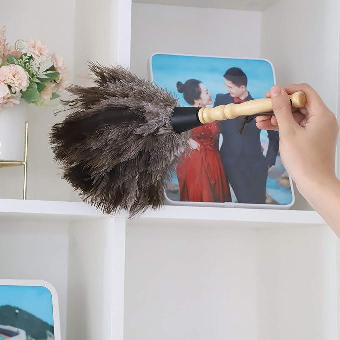 Natural Gray Ostrich Feather Duster,2 Packs,Car Duster Interior/Exterior Cleaner, Cleaning for Blinds Kitchen Keyboard Office, Smart and Soft and Fluffy (Gray)