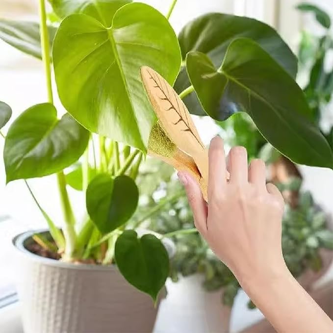 Leaf Cleaning Tongs, House Plant Leaf Cleaning Tongs,Leaf Cleaning Tools With Removable