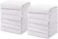 kimteny Kitchen Cloth Dish Towels, 13x28 Inches Premium Dishcloths, Super Absorbent Coral Velvet Microfiber Cleaning Cloths, Fast Drying Rags for Washing Dishes (13x28-12 Pack, White)