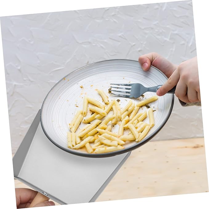 Healifty Stainless Steel Dustpan 8.66 Inch Mini Metal Dust Pan Compact Lightweight Tabletop Dust Pan for Kitchen and Home Cleaning
