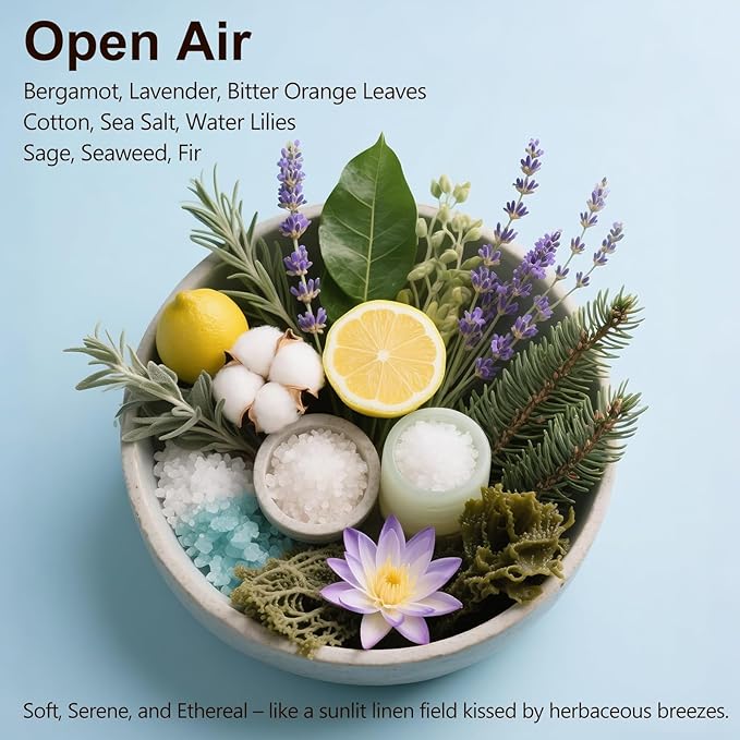 Car Air Freshener, 2-in-1 Stone Car Freshener with Visor Clip & Hanging Scent Diffuser, Natural Scent Stone Diffuser, Long-Lasting Odor Eliminator for Car or Home, Smooth Open Air