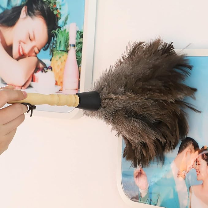 Natural Gray Ostrich Feather Duster,2 Packs,Car Duster Interior/Exterior Cleaner, Cleaning for Blinds Kitchen Keyboard Office, Smart and Soft and Fluffy (Gray)
