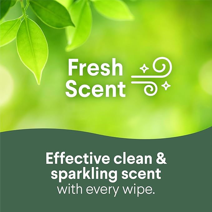 Clorox Disinfecting Cleaning Wipes, Bleach Free, Fresh Scent, 75 Count (Pack May Vary)