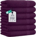 DAN RIVER 6-Pack Premium Hand Towels (16x28 Inches) - 100% Cotton, Ultra Soft, Lightweight, Highly Absorbent Towels for Bathroom, Spa, Gym, Salon, Hotel, and Travel - Purple Passion