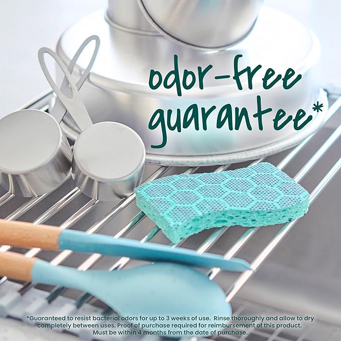 Scotch-Brite Odor Resist Heavy Duty Scrub Sponge, Dishwasher-Safe Kitchen sponges for Serious Scrubbing, Multipurpose Dish Sponge for Stuck-On Messes, 3 Scrubbing Sponges (Pack of 8)