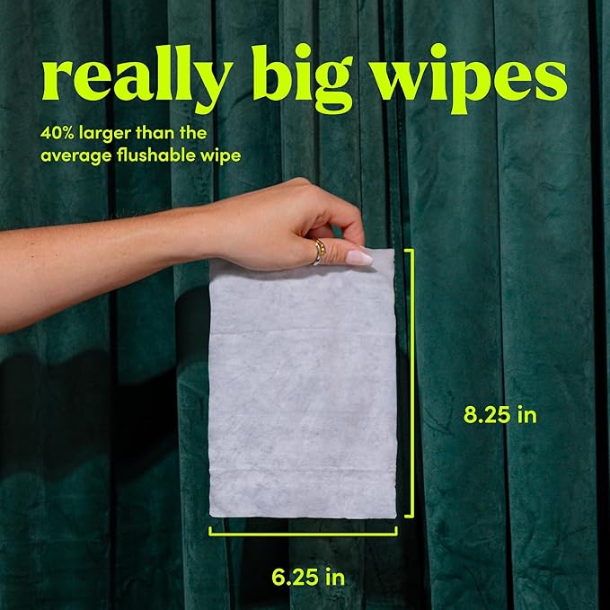 goodwipes Flushable Wipes - Extra Large Adult Wet Wipes For Women & Men - Bathroom Essentials - Sewer & Septic Safe - Variety Pack, 240 Count (4 Packs)