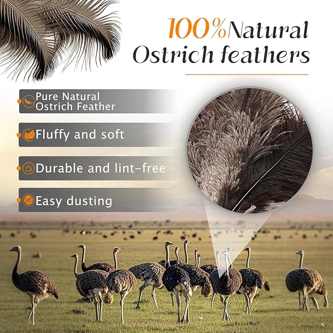 Ostrich Feather Duster 62 Inch Fluffy Natural Genuine Ostrich Feathers Plastic Handheld Eco-Friendly Reusable Ostrich Feather Duster for Cleaning Supplies