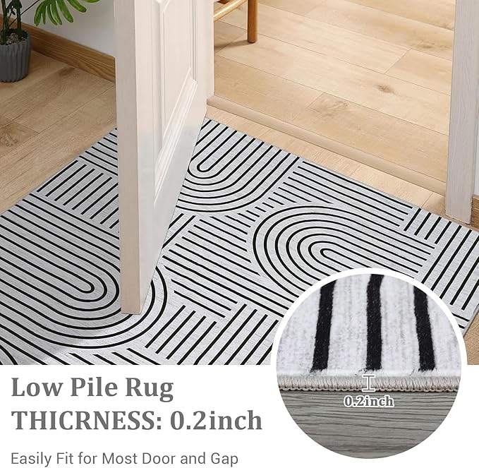 Washable Rug 8x10 Area Rugs for Living Room, Abstract Rug for Bedroom, Soft Rainbow Non Slip Rugs with Rubber Back, Low Pile Stain Resistant Boho Geometric Carpet for Dining Room, Blackwhite