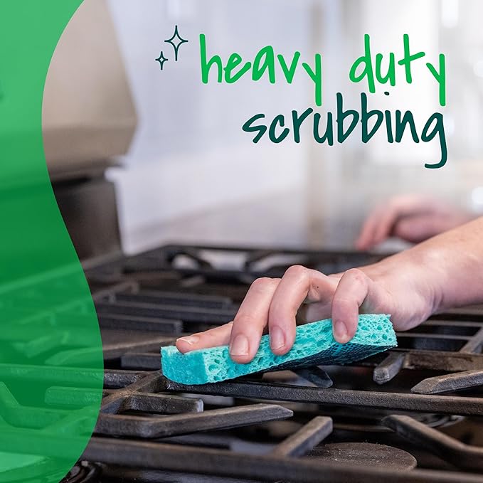 Scotch-Brite Odor Resist Heavy Duty Scrub Sponge, Dishwasher-Safe Kitchen sponges for Serious Scrubbing, Multipurpose Dish Sponge for Stuck-On Messes, 6 Scrubbing Sponges