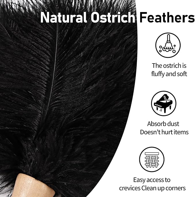 Ostrich Feather Duster 12 Inch Handheld Duster Supplies, Wooden Handle Feather Duster for Cleaning Keyboard Home Car Office (Black)