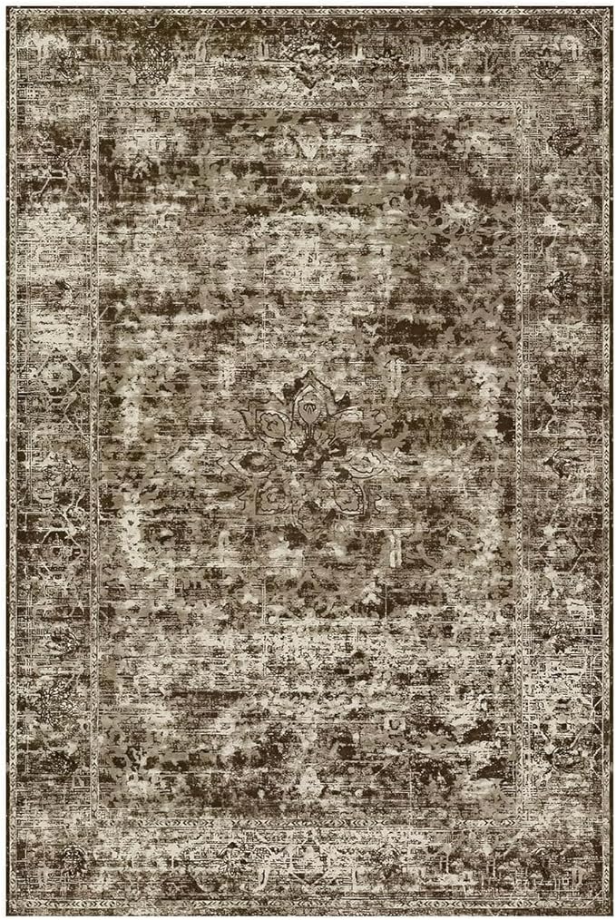 4x6 Area Rugs for Living Room, Bedroom, Brown Rugs, Small Washable Non Slip Entry Rug, Vintage Boho Soft Indoor Rug for Nursery, Bathroom, Office