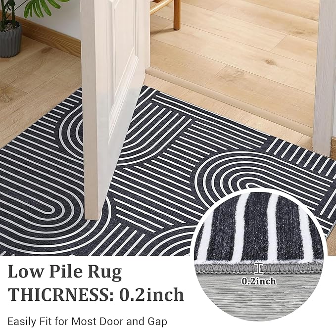 Washable Rug 4x6 Area Rugs for Living Room, Abstract Rug for Bedroom, Soft Rainbow Non Slip Throw Rugs with Rubber Back, Low Pile Stain Resistant Boho Geometric Carpet for Dining Room, Black