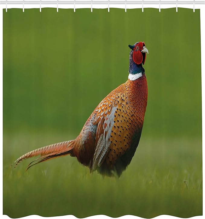 Ambesonne Green Shower Curtain, Czech Republic European Scene of a Creature on Blurry Backdrop Photo, Cloth Fabric Bathroom Decor Set with Hooks, 69" W x 70" L, Ginger Chocolate and Red