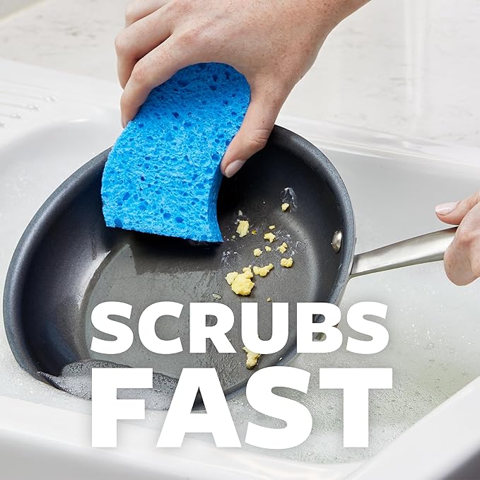 Scotch-Brite Stay Fresh Sponge & Command Storage Bundle