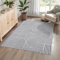 Washable Rug 5x7 Area Rugs for Living Room, Abstract Rug for Bedroom, Soft Rainbow Non Slip Rugs with Rubber Back, Low Pile Stain Resistant Boho Geometric Carpet for Dining Room, Blackwhite