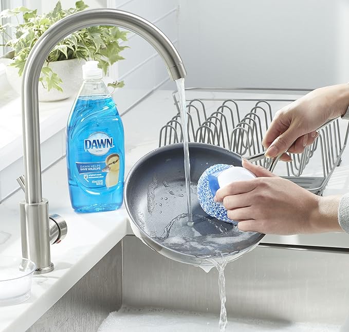 Dawn Handi Scrub Dishwashing Scrubber and Storage Dish, White/Blue
