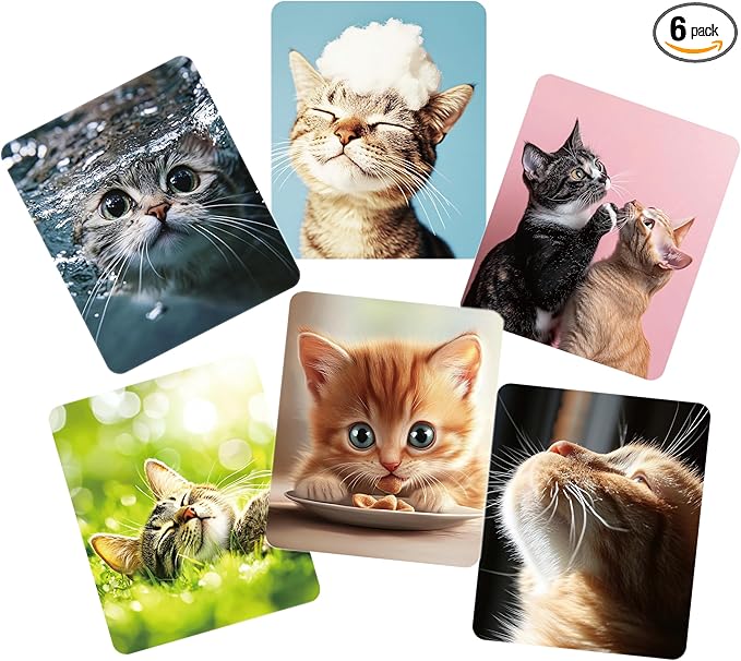 Anywind Microfiber Glasses Cleaner Cloth,Cute Cat Cleaning Clothes for Eyeglass,Phone, Screens, Camera Lens -6pcs