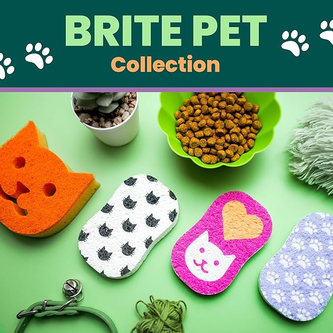 Scotch-Brite Odor Resist Non-Scratch Scrub Sponge, Dishwasher-Safe Kitchen Sponges That Resist Bacterial Odors, Multipurpose Dish Sponges for Gentle Cleaning and Pet Messes, 2 Dish Sponges