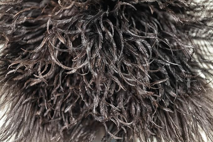 Royal Duster®, Premium Genuine Ostrich Feather Duster 14 inch
