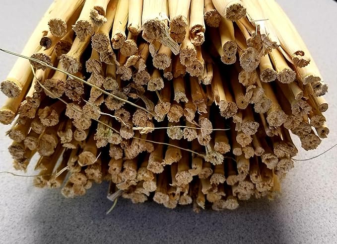 Craft Broom Corn with Stalks 2 Pound Bundle 24-36" Length