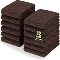 Homaxy 12 Pack Dish Towels for Kitchen (10 x 20 Inches, Brown), Super Soft and Absorbent Coral Velvet Dish Cloths for Washing Dishes, Nonstick Oil Fast Drying Microfiber Cleaning Cloth