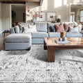 4x6 Area Rugs for Living Room, Bedroom, Grey Rugs, Small Washable Non Slip Entry Rugs, Vintage Boho Soft Indoor Rug for Nursery, Bathroom, Office