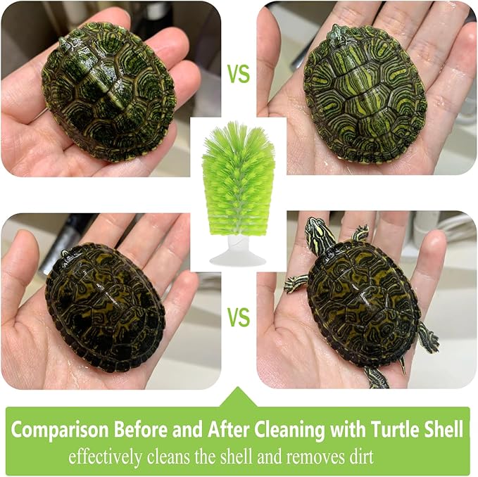 Turtle Scrub Brush, Turtle Scratches Back Brush Turtle Shell Clean Brush with Suction Cup Turtle Exfoliate Brush Tank Tortoise Brush for Remove Turtle Shell Scutes Mud Dirt