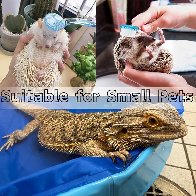 Bearded Dragons Foldable Bathtub with Soft Brush and Towel Set Reptile Accessories Swimming Pool Relax Cleaning Set for Small Pets Guniea Pig Turtle Hedgehog (11.8x3.93In)
