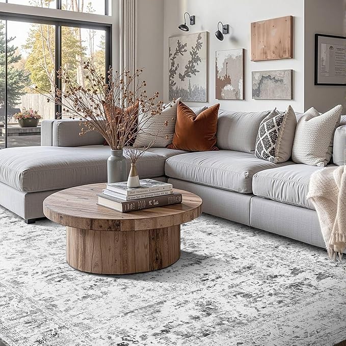 4x6 Area Rugs for Living Room, Bedroom, Grey Rugs, Small Washable Non Slip Entry Rugs, Vintage Boho Soft Indoor Rug for Nursery, Bathroom, Office