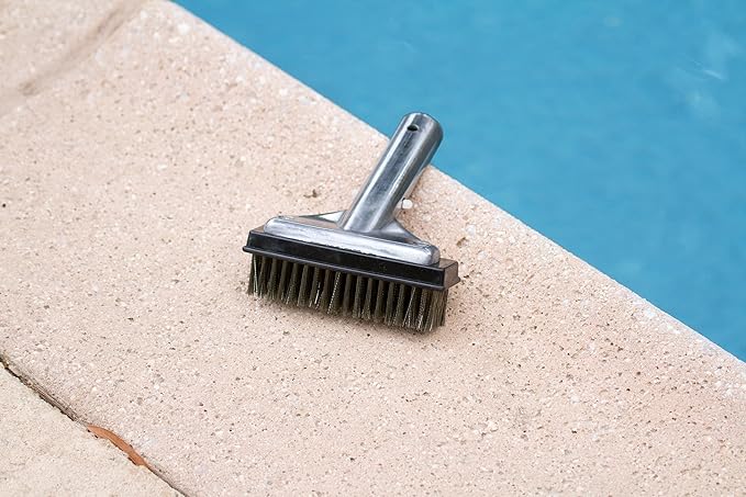 Poolmaster 20178 5-Inch Aluminum-Back Swimming Pool Algae Brush with Stainless Steel Bristles, Classic Collection