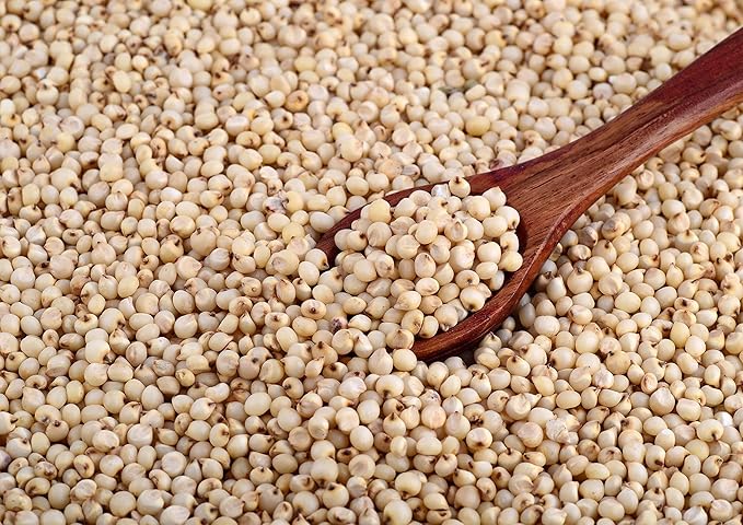 Food to Live Gluten Free Organic Whole Grain Sorghum, 10 Pounds - Non-GMO White Groats. Raw Milo Seeds. Vegan, Bulk Broom-corn. Durra is Great for Making Flour and Popped Jowar Dhani. Made in USA
