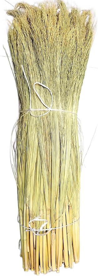 Craft Broom Corn with Stalks 2 Pound Bundle 24-36" Length