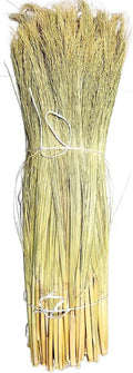 Craft Broom Corn with Stalks 2 Pound Bundle 24-36" Length