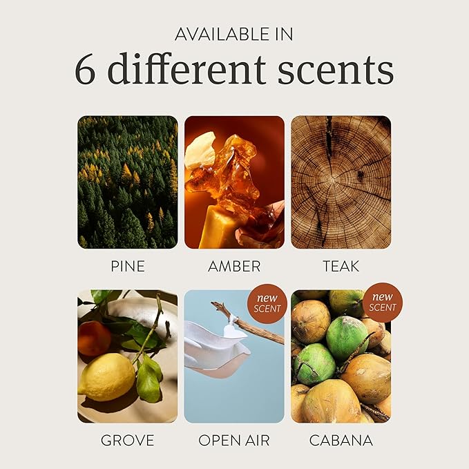 Drift on Amazon Wood Air Freshener Refill - Apple Picking