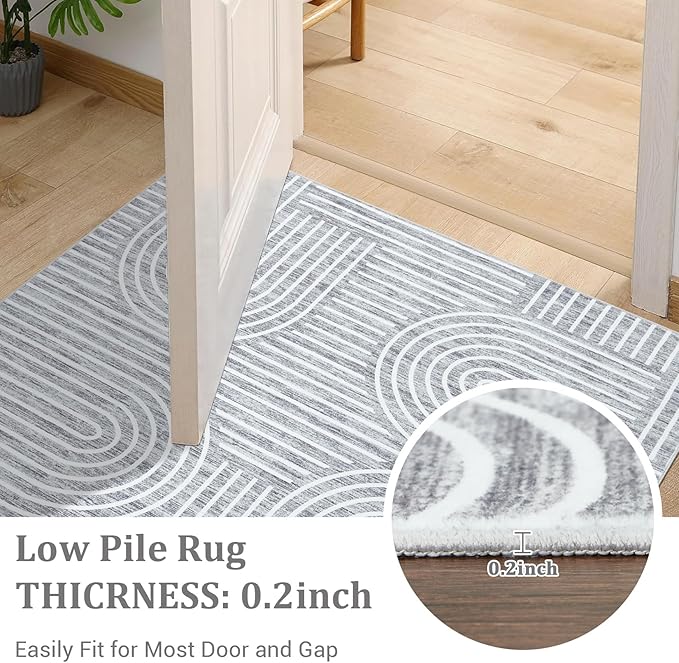Washable Rug 4x6 Area Rugs for Living Room, Abstract Rug for Bedroom, Soft Rainbow Non Slip Throw Rugs with Rubber Back, Low Pile Stain Resistant Boho Geometric Carpet for Dining Room, Ash