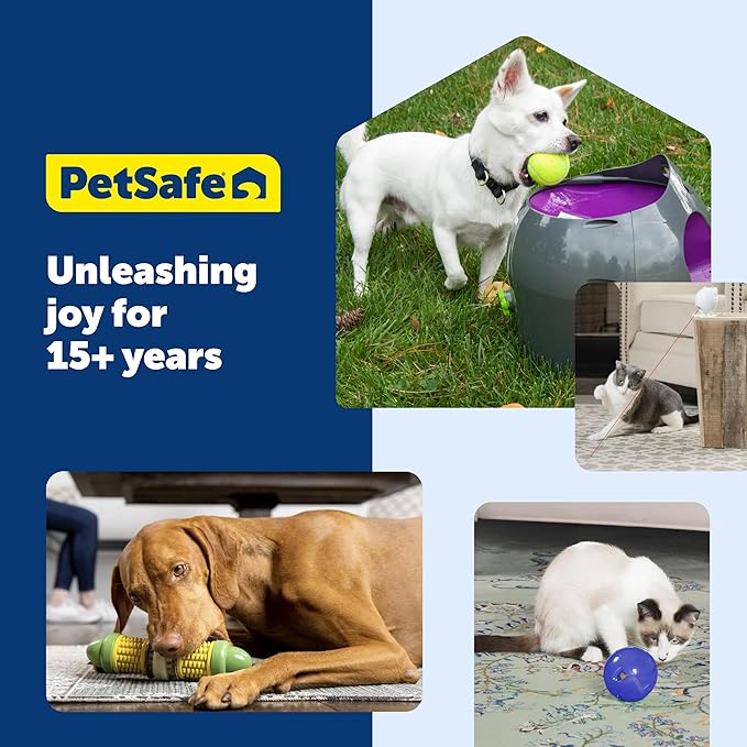 PetSafe Busy Buddy Bouncy Bone - 3-in-1 Adjustable Slow Feeder Toy with Refillable Treat Rings - Cleans Teeth & Gums, Cures Boredom & Slows Down Eating Habits - Small - for Dogs Under 10 lb