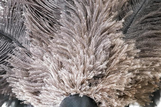 Royal Duster®, Premium Genuine Ostrich Feather Duster 14 inch