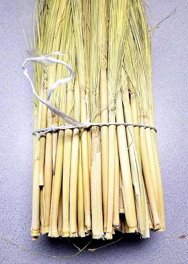 Craft Broom Corn with Stalks 2 Pound Bundle 24-36" Length