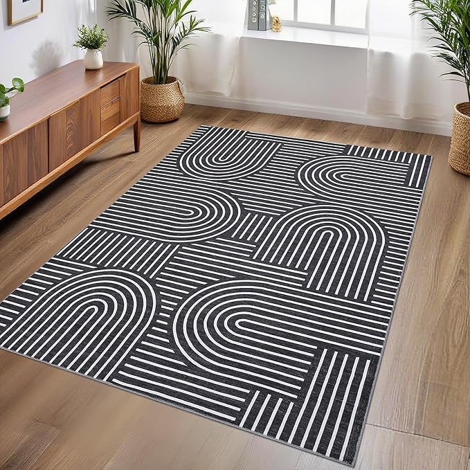 Morden Area Rug